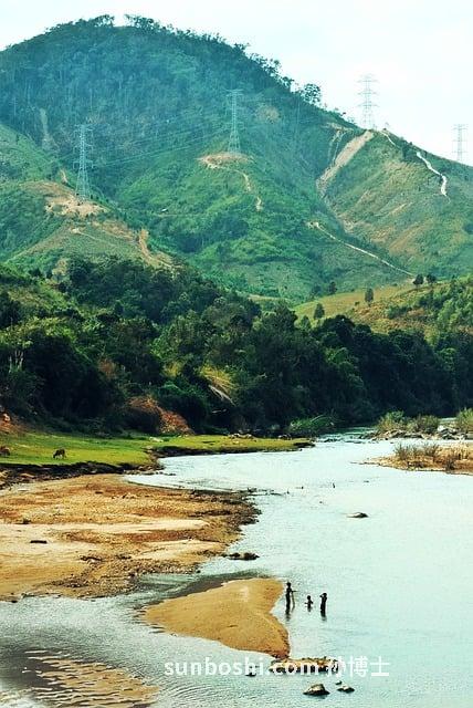 夢見河抓魚-夢見下河抓魚