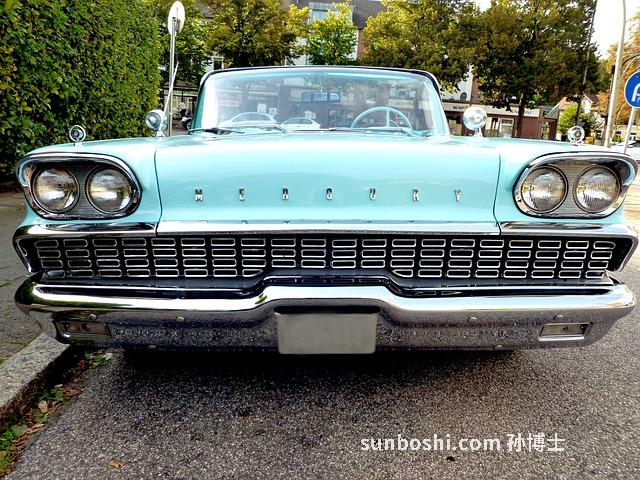 車前子的功效與作用-鹽車前子-炒車前子-車前子殼-中藥車前子