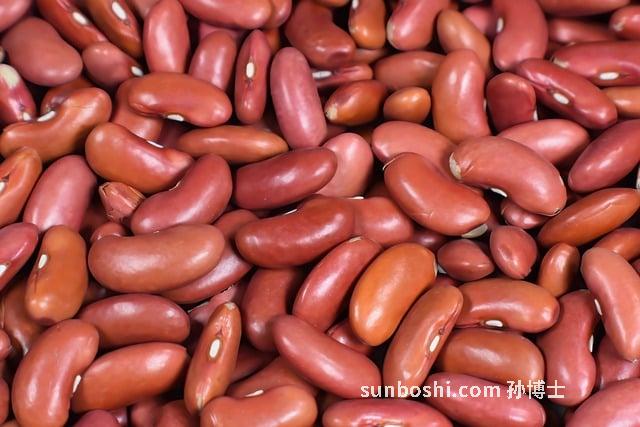 蕓豆的功效與作用-紅蕓豆-黑蕓豆-花蕓豆-蕓豆角