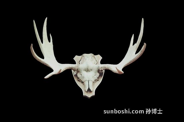 鹿茸的功效與作用-鹿茸片-鹿茸菇-血鹿茸-鹿茸血