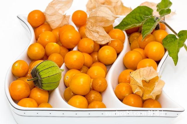 甜酸角的作用與功效-云南甜酸角干-甜酸角百科