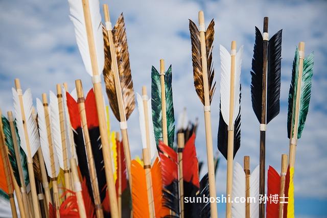 鬼箭羽的功效與作用及禁忌-鬼箭羽煮雞蛋功效與作用