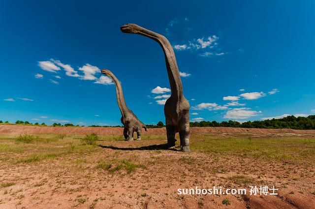 夢見肉壞了-夢見肉壞了把它扔了