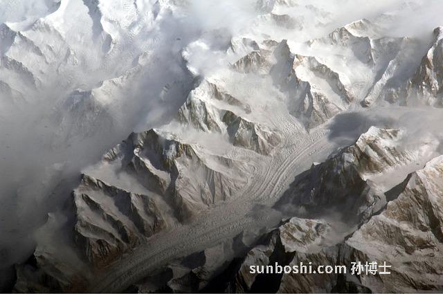 天山雪連的功效與作用