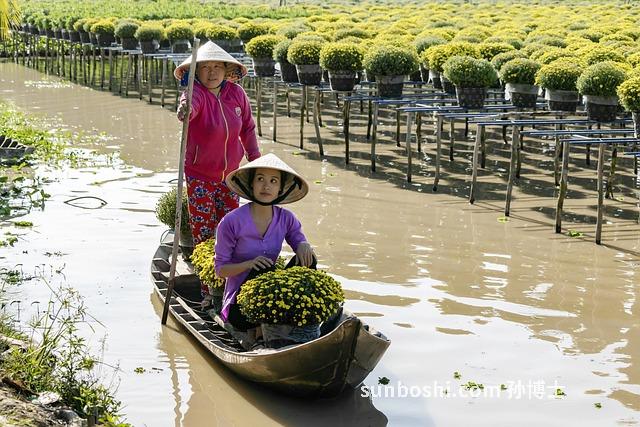 艾葉水的功效與作用-喝艾葉水-艾葉水泡腳-艾葉水洗澡-艾葉水泡澡