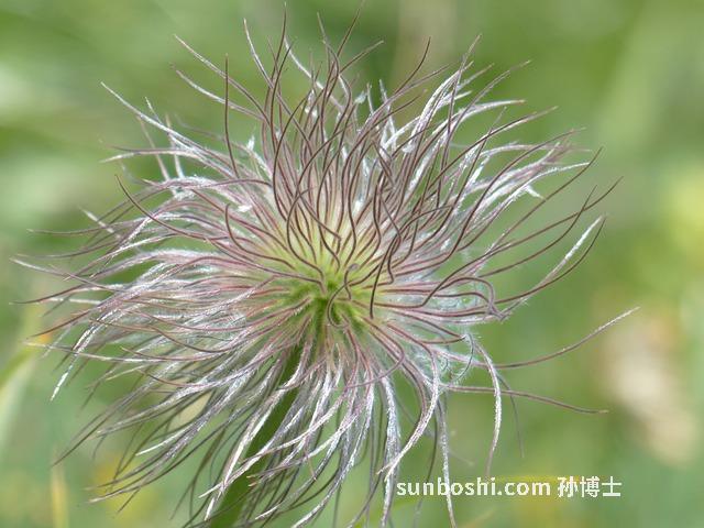 夢見豆花-夢見做豆花-夢見煮豆花