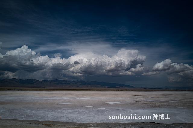 青茶的功效與作用-老青茶-毛冬青茶葉-源青茶-竹葉青茶葉