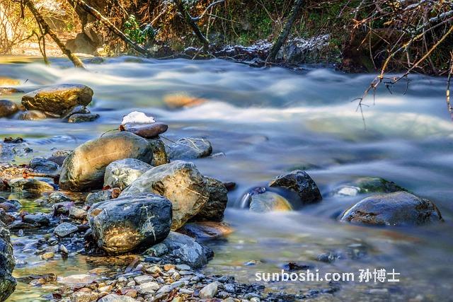 牛尾的功效與作用-牛尾巴-牛尾湯-牛尾菜-牛尾骨湯