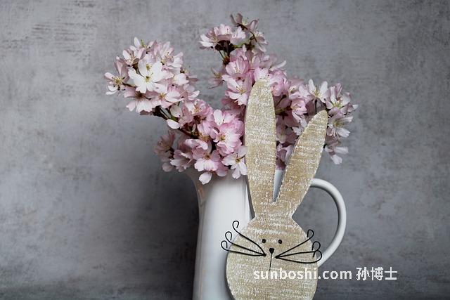 蛋花的功效與作用-雞蛋花-沖雞蛋花-沖蛋花-紅雞蛋花