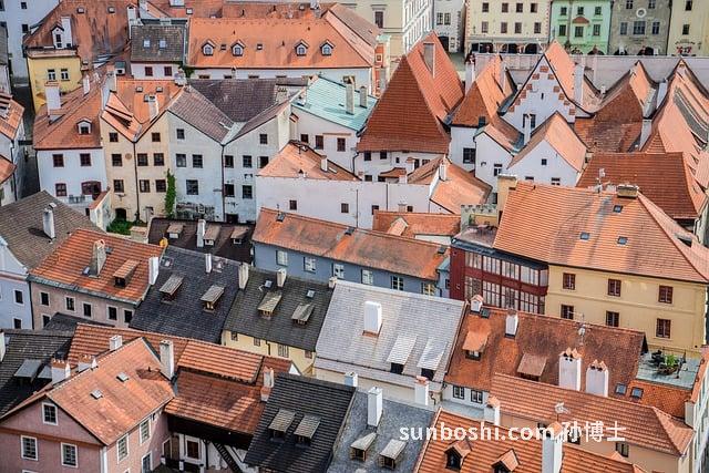 西米的功效與作用-西米露-小西米-大西米-西米替丁