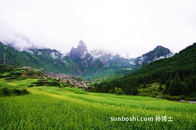 青稞的功效與作用-青稞米-青稞酒-黑青稞-青稞粉