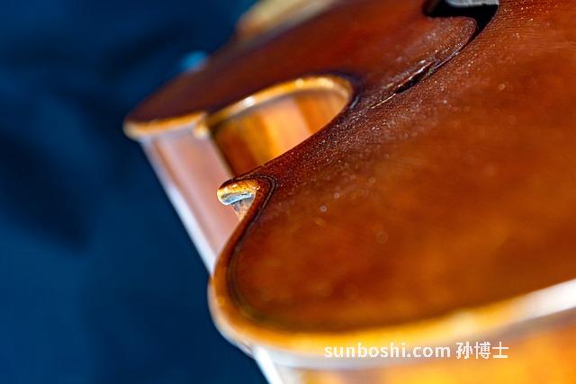 松香功效與作用-中藥松香-甘松香-松香油-松香果