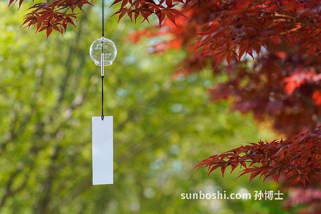 蛋白酶的功效與作用-胃蛋白酶-沙棘蛋白酶-腦蛋白酶-人體蛋白酶