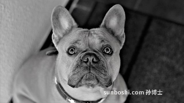 孕婦夢見在-孕婦夢見在水里游泳-孕婦夢見在水里