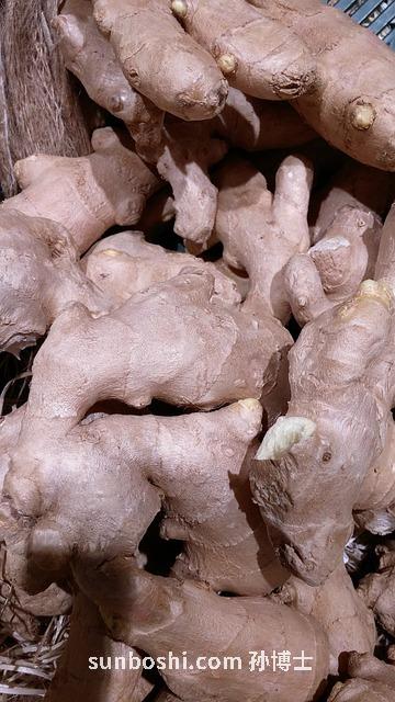 丹參根的功效與作用-丹參根美容功效與作用-丹參根泡水喝的功效與作用