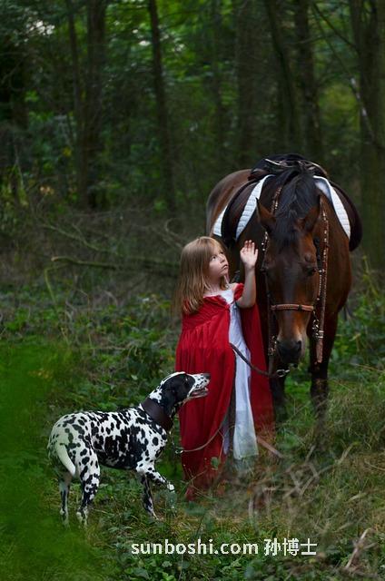 小紅棗的功效與作用-冰糖小紅棗水的功效與作用
