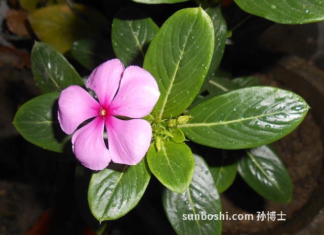 夢見被驅趕-夢見被鬼附身又被驅趕-夢見鬼附身又被驅趕走