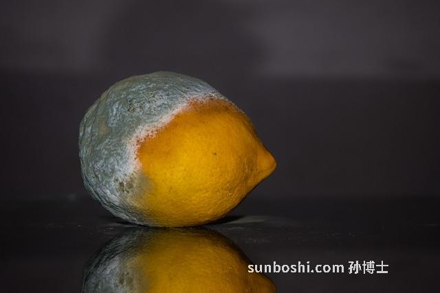 夢見水果爛了-孕婦夢見水果爛了-夢見水果爛了扔掉了