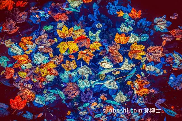 夢(mèng)見下水救人-夢(mèng)見自己下水救人-夢(mèng)見別人下水救人