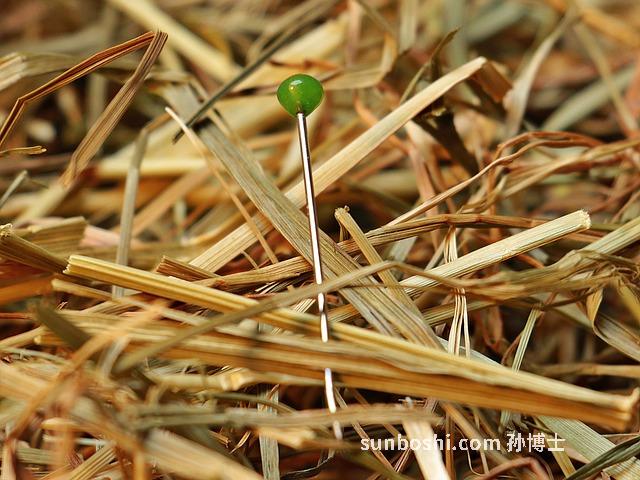 撈糟的功效與作用禁忌