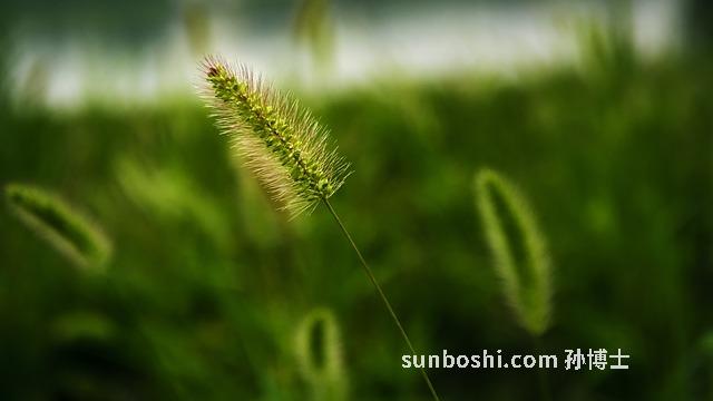 夢(mèng)見(jiàn)自己被暗戀