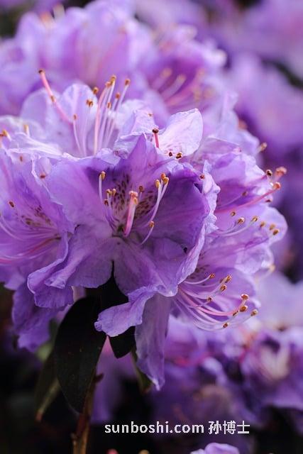 夢見泉-女人夢見泡溫泉-夢見別人泡溫泉