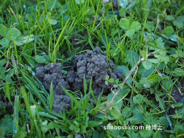 夢見土堆-夢見在土堆-夢見土堆成山