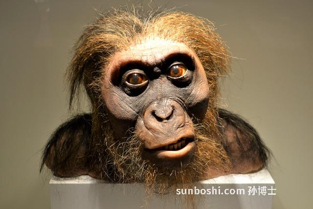 夢見神獸-夢見上古神獸-夢見騎神獸