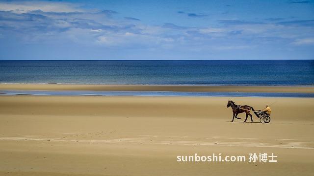 豬砂的功效與作用價(jià)格-豬砂石功效與作用