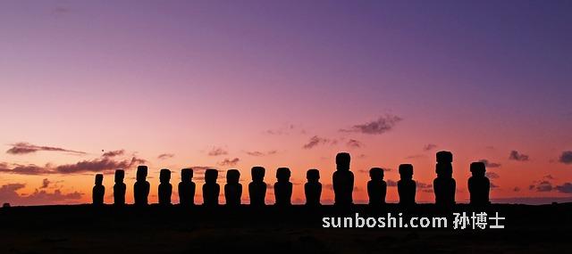 智利藍莓的功效與作用