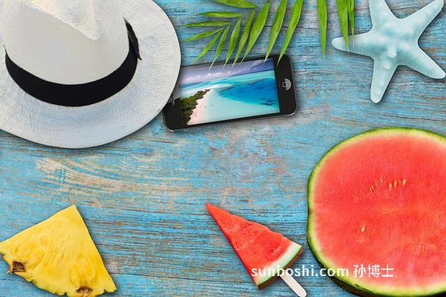 松瓜的功效與作用