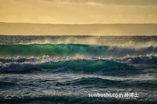 澳洲卵磷脂的功效與作用