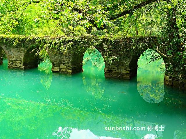 荔子核的功效與作用