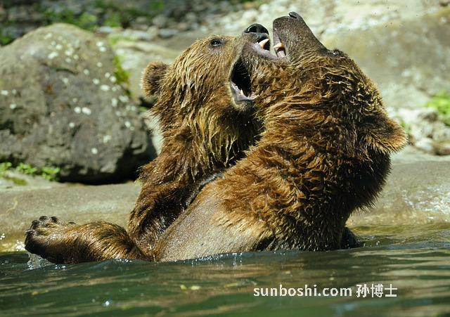 夢見洗牙-夢見自己洗牙-夢見洗牙齒