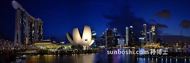 金線菩提的功效與作用