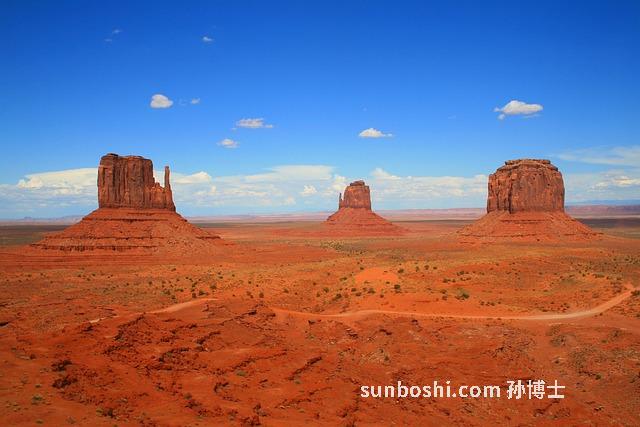 谷紅針的功效與作用