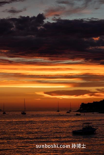 功神草功效與作用