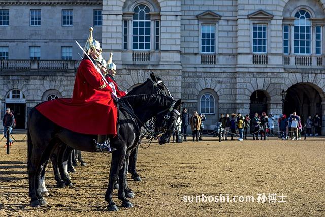 士豆的營養(yǎng)功效與作用-紅士豆的功效與作用-士豆醇的作用與功效