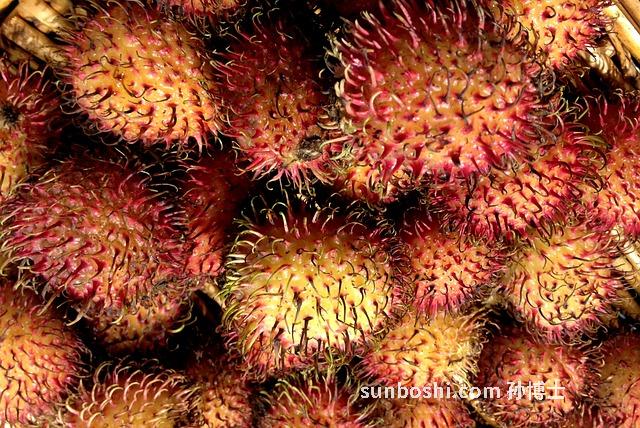 紅提子干的功效與作用