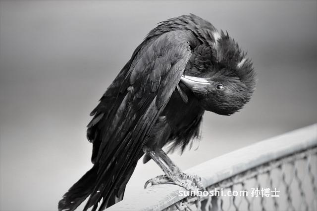 夢見自己的嘴-夢見自己嘴爛了-夢見自己嘴腫了