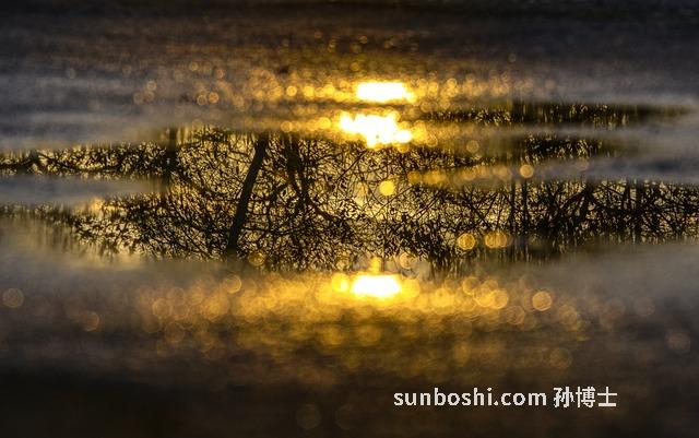夢見開車掉進(jìn)坑里