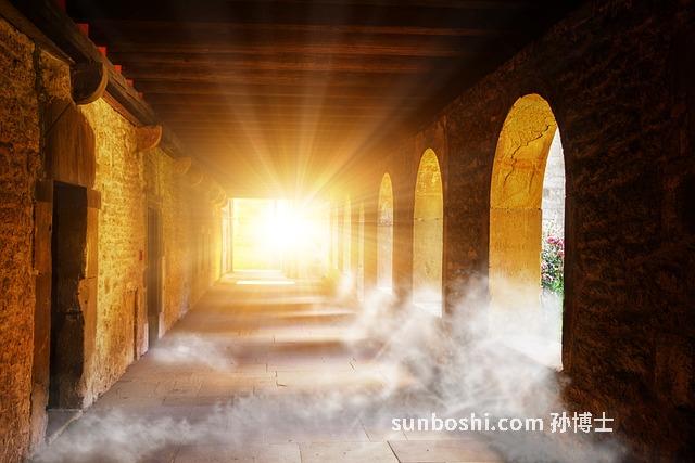 固芷的功效與作用-金銀固芷片的功效與作用