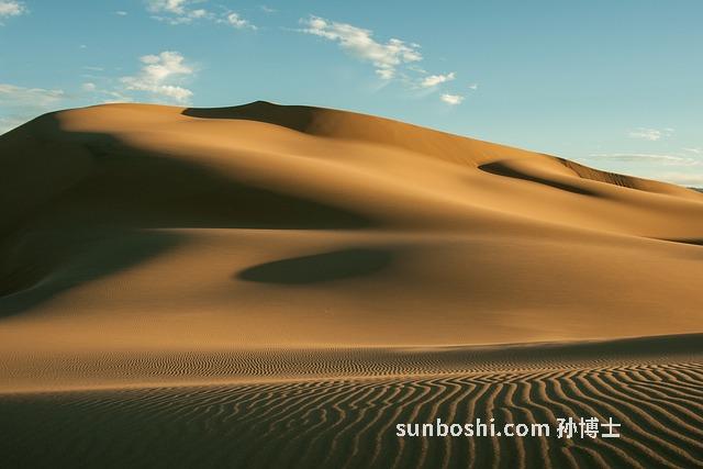 蒙古酪酥的功效與作用