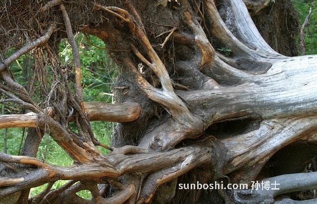 夢見煩-夢見別人找我麻煩-夢見自己煩
