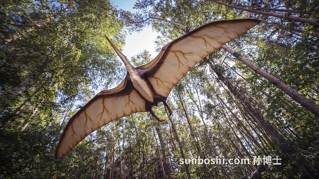 夢見翼龍-夢見宰殺翼龍-夢見龍翼龍