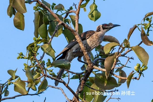 夢(mèng)見吵別人