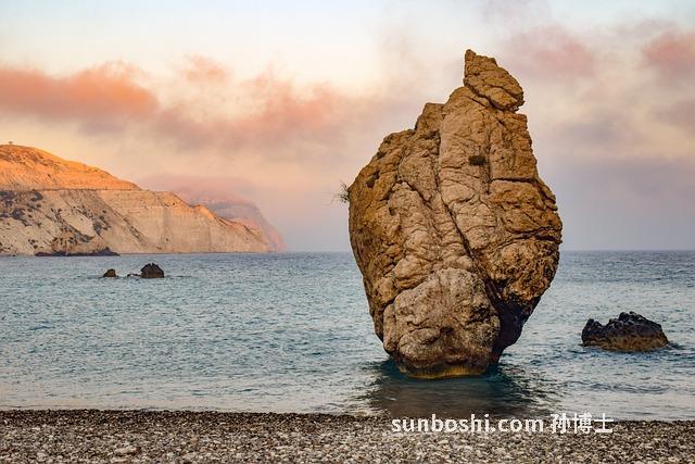 芙苓的功效與作用-中藥芙苓功效與作用-桂枝芙苓的功效與作用