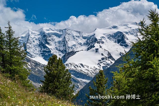 杉木皮的功效與作用-杉木皮泡腳的功效與作用