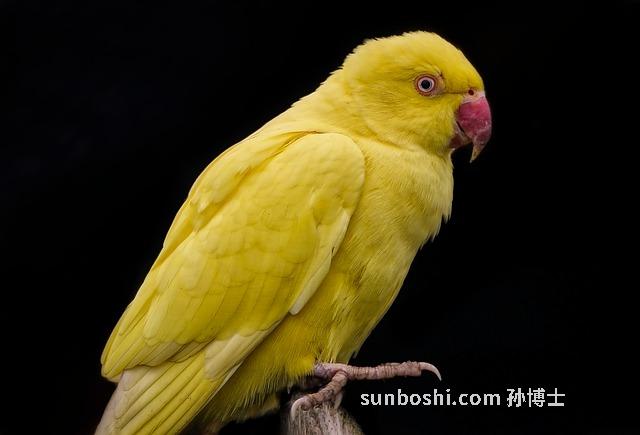 堿水泡腳的功效與作用