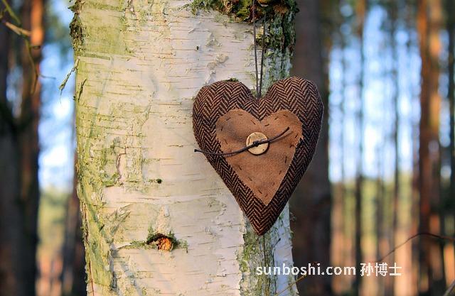 椿根白皮的功效與作用